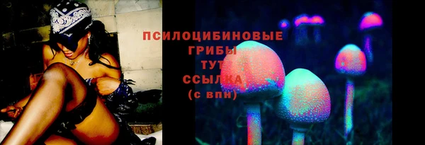соль курить ск Арсеньев