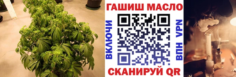 наркота  Лесозаводск  ТГК гашишное масло 